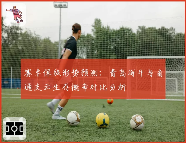 赛季保级形势预测:青岛海牛与南通支云生存概率对比分析