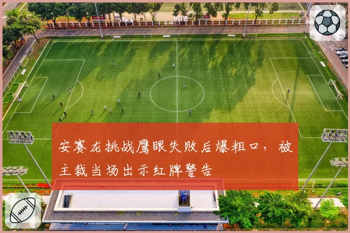 安赛龙挑战鹰眼失败后爆粗口，被主裁当场出示红牌警告