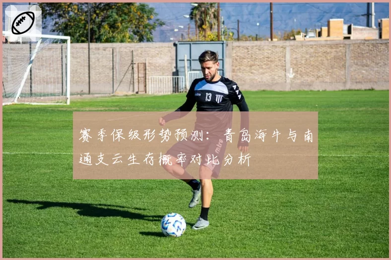 赛季保级形势预测:青岛海牛与南通支云生存概率对比分析