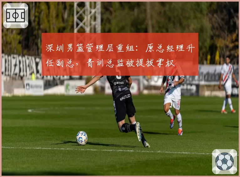 深圳男篮管理层重组：原总经理升任副总，青训总监被提拔掌权